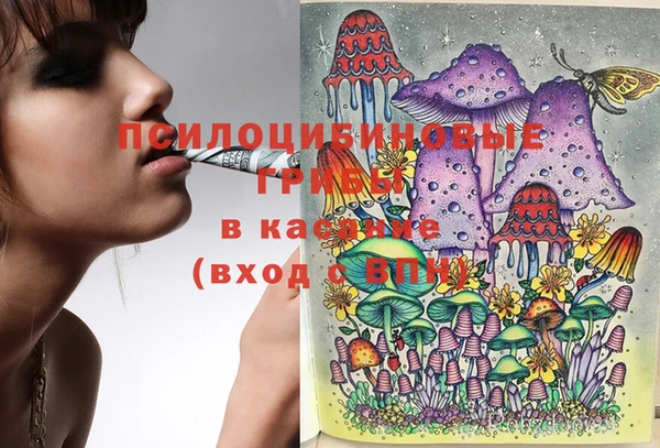 PSILOCYBIN Киренск