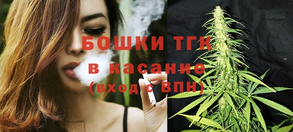 PSILOCYBIN Киренск