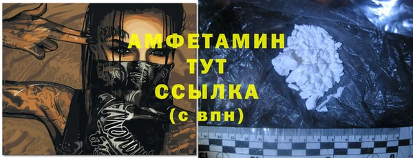 твердый Козельск