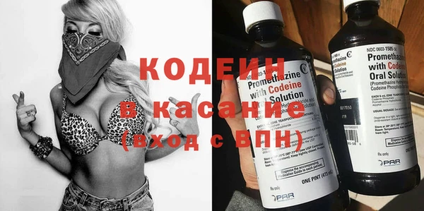 твердый Козельск
