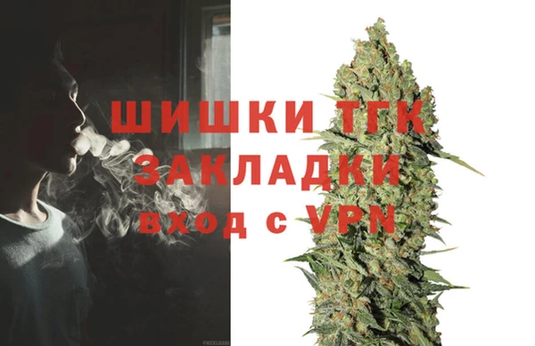 PSILOCYBIN Киренск