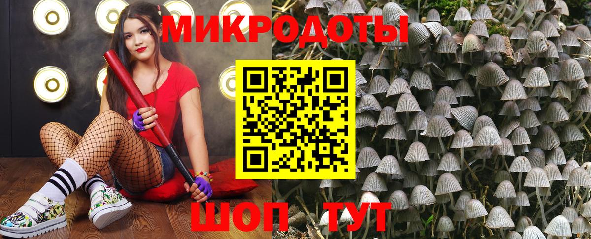 Новодвинск  Галлюциногенные грибы Cubensis  Вход с VPN  Галлюциногенные грибы ЛСД 