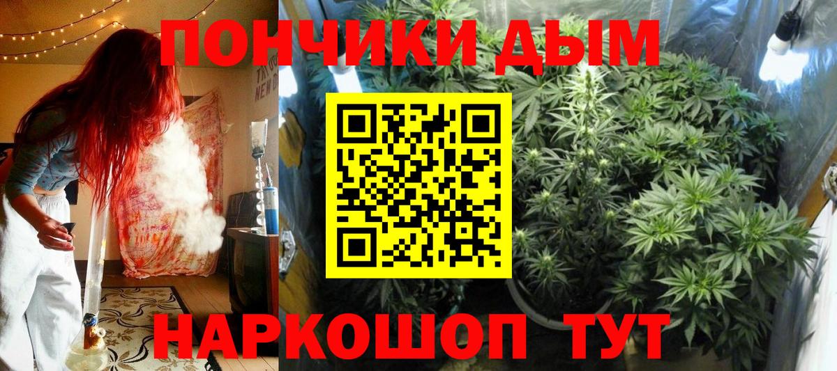 Каннабис OG Kush  Марихуана Amnesia  Вход с VPN  Шишки марихуана Amnesia  Новодвинск 